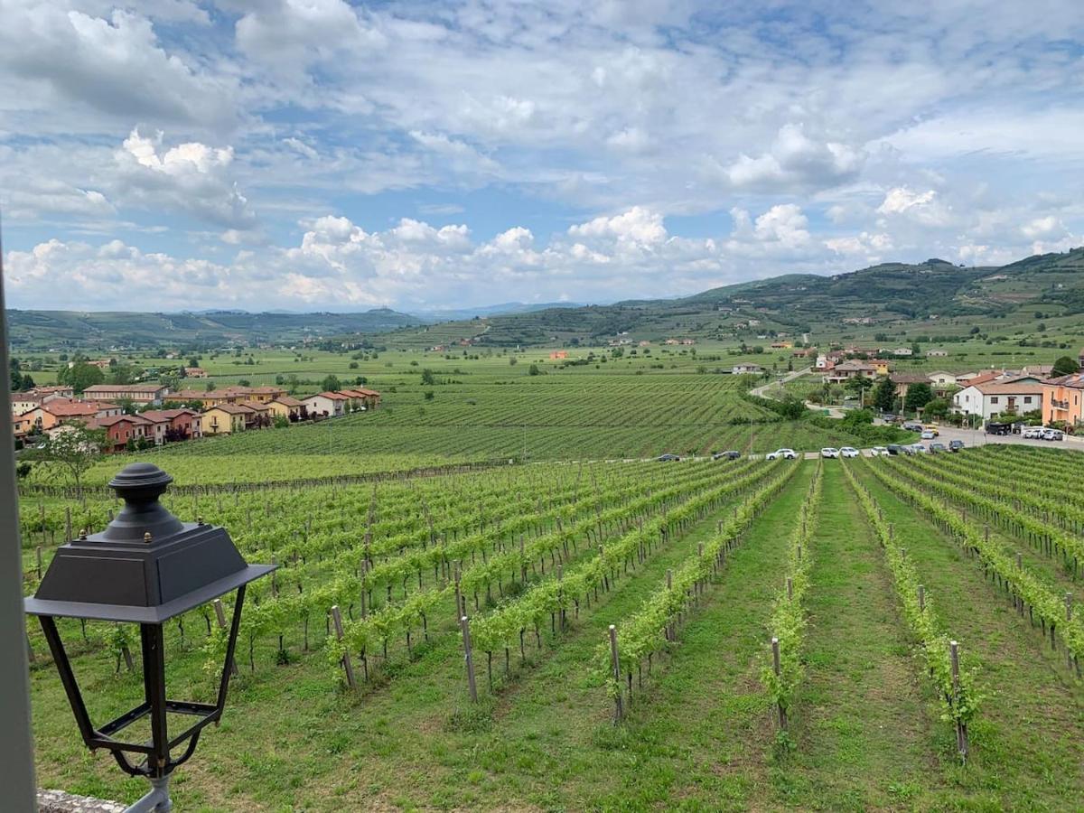Soave House Alle Vigne-2-Luxury Stay Екстер'єр фото
